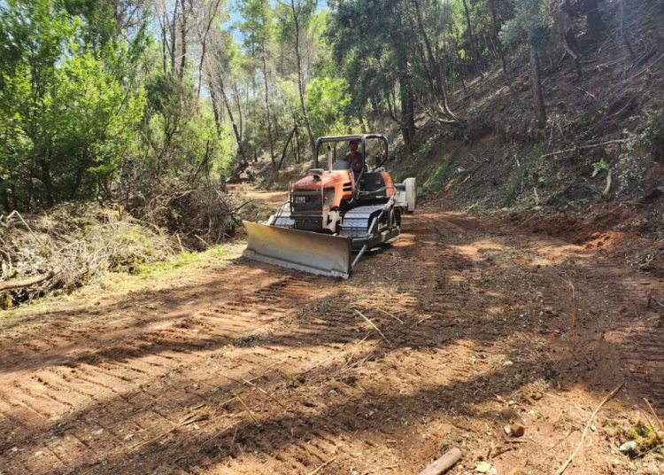 Παρεμβάσεις για αντιπυρικές ζώνες καθημερινά από το Δασαρχείο Πύργου