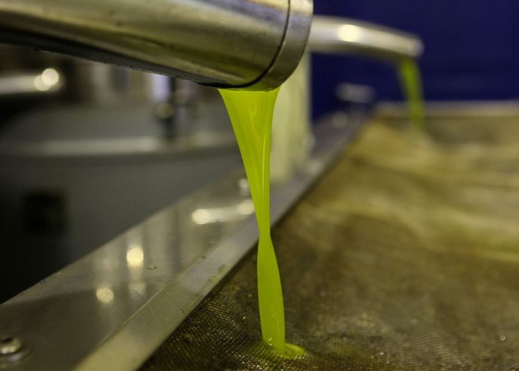 Τα σενάρια για την τιμή του ελαιόλαδου στη νέα σεζόν