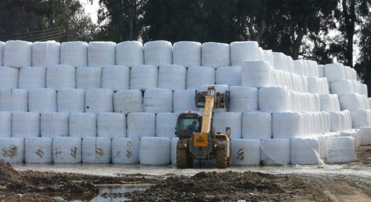 Πύργος: Θέμα χρόνου η μεταφορά των δεμάτων από το Ποτόκι-Λύνεται ένα χρόνιο πρόβλημα