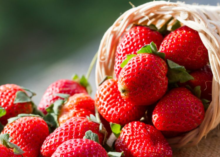 Ελληνική φράουλα: Ρεκόρ εξαγωγών φέτος