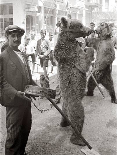 Ο Αρκουδιάρης και το ντέφι