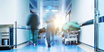 Ηλεία: Από στρεπτόκοκκο και όχι από αράχνη ο θάνατος του 48χρονου-3 περιστατικά στην περιοχή