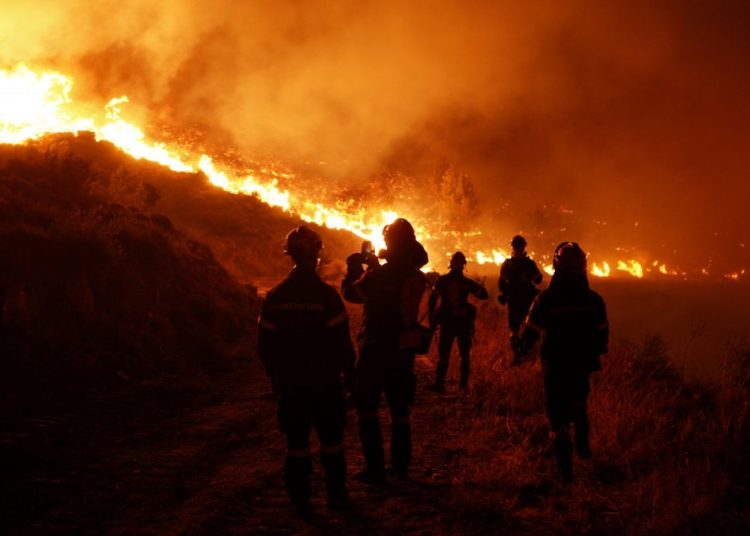 «Χαστούκι» από τον ΟΟΣΑ για τις πυρκαγιές στην Ελλάδα – Δεν υπάρχουν μέτρα πρόληψης