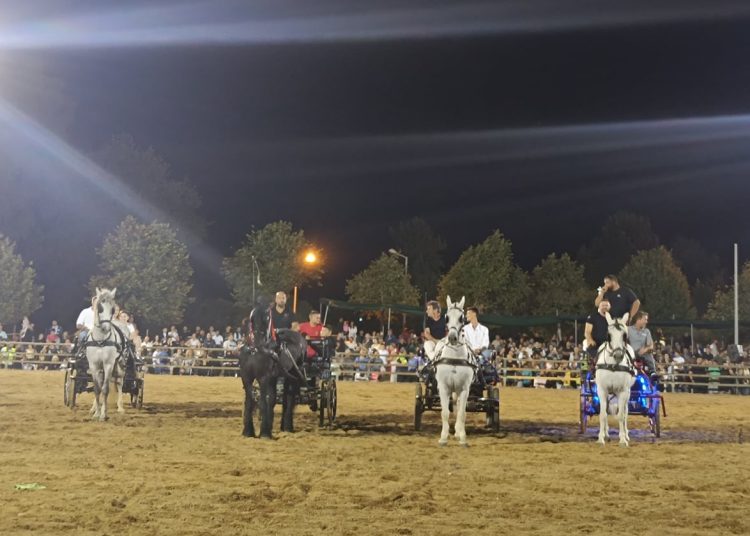 Εντυπωσίασε και φέτος η 90η Ιππική Έκθεση Ανδραβίδας