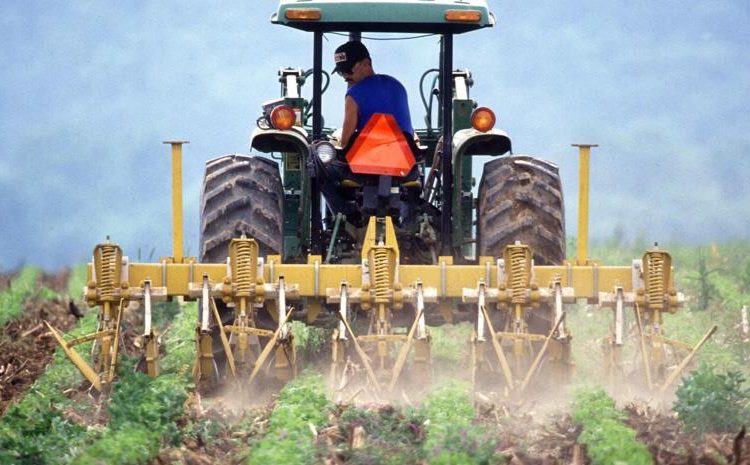 Δηλώσεις ΟΣΔΕ: Έως 30/9 η παράταση και χωρίς ποινή 1% για τις εκπρόθεσμες