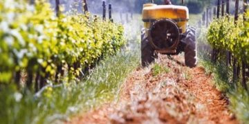 Αγροτικό πετρέλαιο: Από το 2025 μόνιμη η επιστροφή