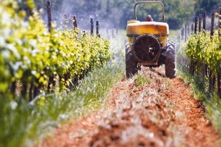 Αγροτικό πετρέλαιο: Από το 2025 μόνιμη η επιστροφή