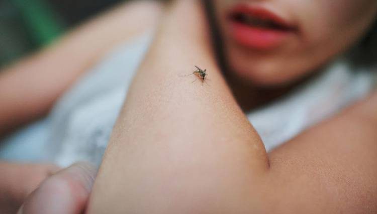 Ιός του Δυτικού Νείλου: 17 βαριά κρούσματα στη Δυτ. Ελλάδα