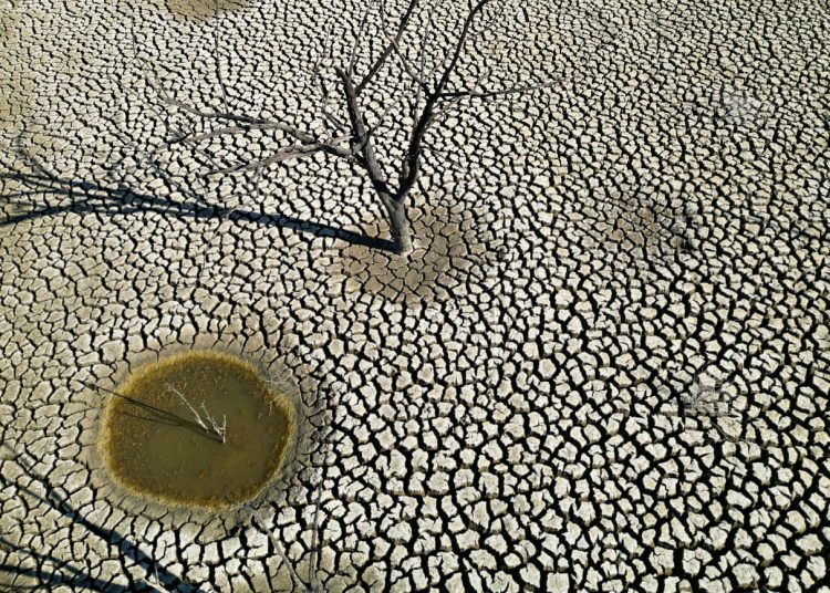 Κλιματική κρίση: Ρεκόρ θανάτων λόγω ζέστης το 2023 – Καμπανάκι για εξάπλωση ασθενειών