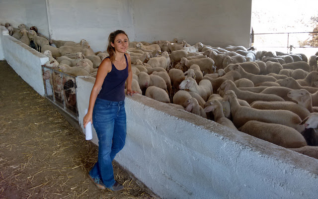 Ηθοποιός άφησε το Λονδίνο και έγινε κτηνοτρόφος στην Δ. Ελλάδα