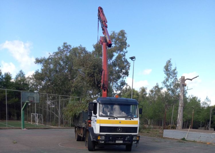Δήμος Ολυμπίας: Κλαδεύτηκαν επικίνδυνα δέντρα σε σχολεία