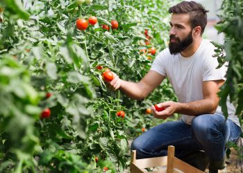Nέοι αγρότες – Τα κριτήρια και τα ποσά ενίσχυσης της νέας περιόδου