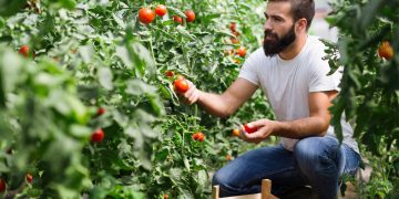 Nέοι αγρότες – Τα κριτήρια και τα ποσά ενίσχυσης της νέας περιόδου