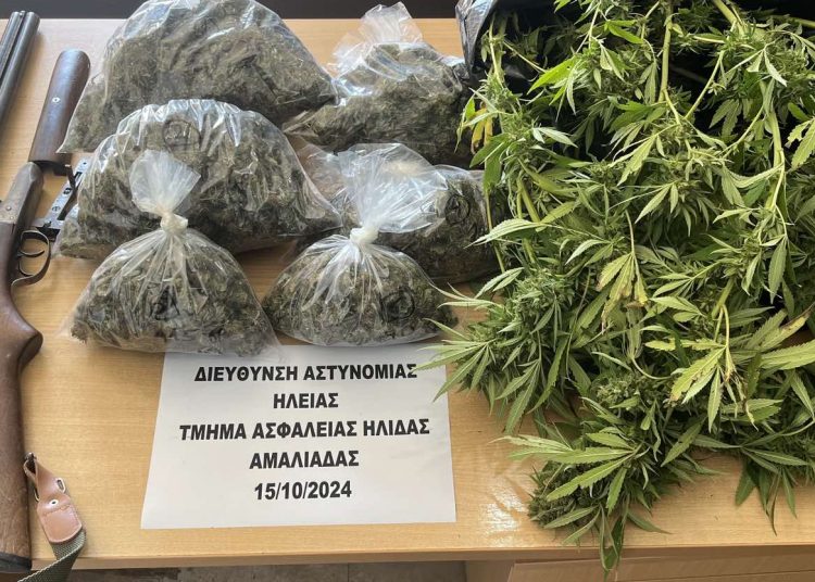 Ηλεία: Συνεχείς οι συλλήψεις για ναρκωτικά-Είχε γεμίσει το σπίτι του με δενδρύλλια