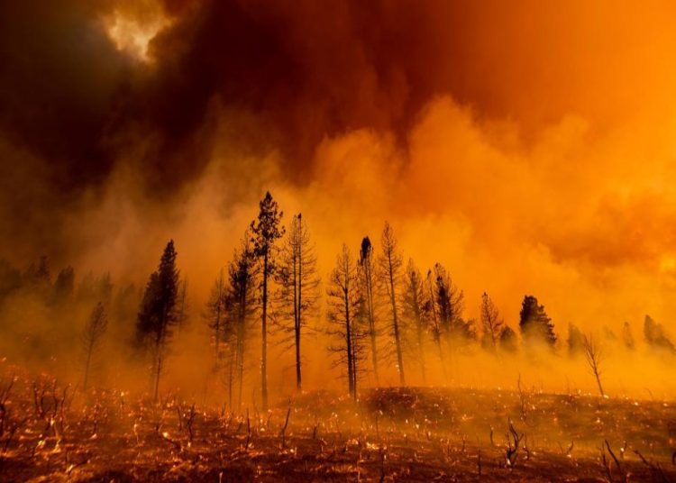 ΠΑΡΑΤΑΣΗ της αντιπυρικής περιόδου λόγω ανομβρίας-Προσοχή στην Ηλεία