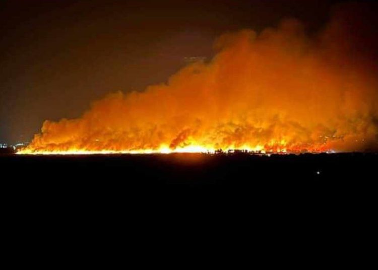 Φωτιά στο προστατευόμενο δάσος της Στροφυλιάς
