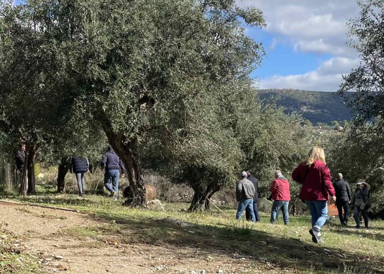 Κλιμάκιο του ΕΛΓΑ βρήκε ζημιές από το χαλάζι στις καλλιέργειες σε Ζαχάρω & Φιγαλεία