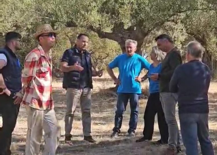 Δήμος Ζαχάρως & Περιφέρεια σε αυτοψία για τις ζημιές στις ελιές