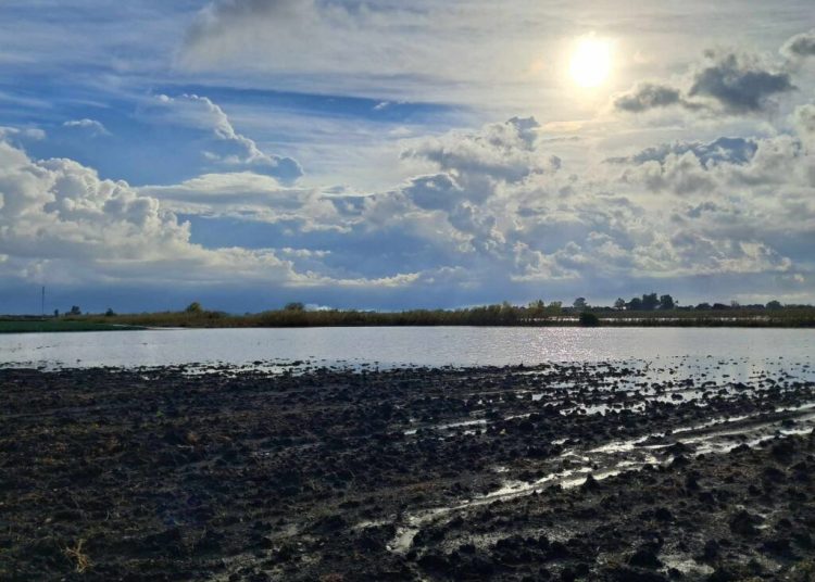 Πύργος & Αμαλιάδα σε κατάσταση έκτακτης ανάγκης μετά τις πρόσφατες πλημμύρες