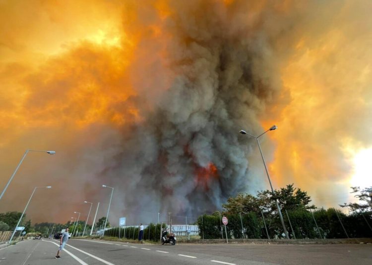 Πυρόπληκτοι Ολυμπίας: Παράταση για ασφαλιστικές εισφορές ΕΛΓΑ