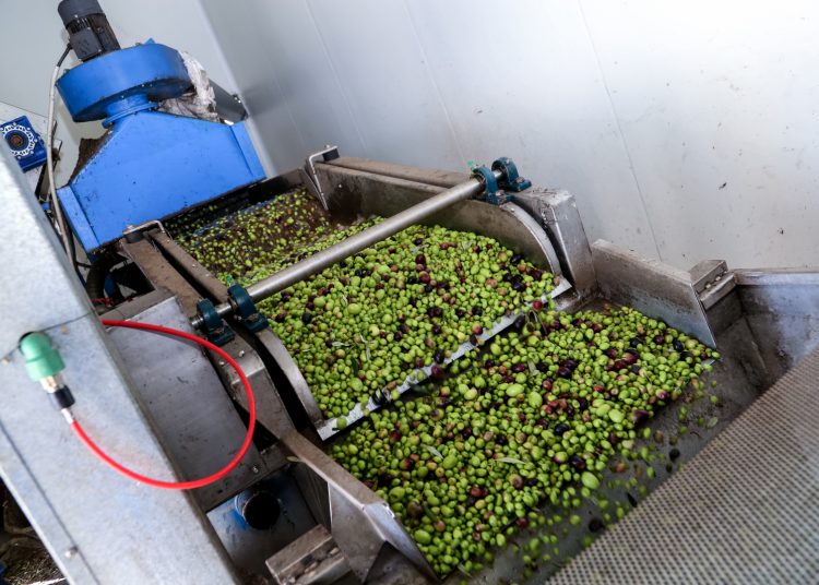 Ελαιόλαδο: «Ασανσέρ» η τιμή του τενεκέ