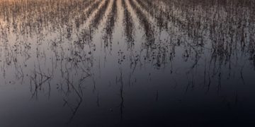 Αυγερινοπούλου-Επιτάλιο: Πρωτοβουλίες για αποκατάσταση εγγειοβελτιωτικών υποδομών