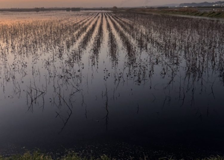 Αυγερινοπούλου-Επιτάλιο: Πρωτοβουλίες για αποκατάσταση εγγειοβελτιωτικών υποδομών