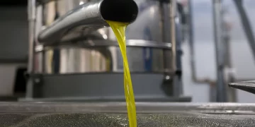 Η αλήθεια για τους τενεκέδες με το λάδι – Τι ισχύει και τι θα αλλάξει