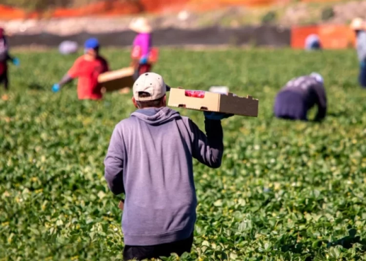 «Πράσινο» σε 89.290 μετακλήσεις εργατών από τρίτες χώρες – Δείτε τις ειδικότητες στον πρωτογενή τομέα, τις κατασκευές και τον τουρισμό