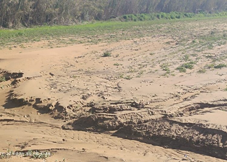 Δουνέϊκα & Καρδαμάς: Με νέες ζημιές αντιμέτωποι οι αγρότες λόγω κακοκαιρίας