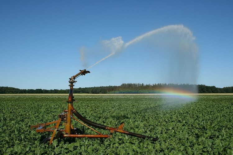 Ηλεία: Έρχεται παρακολούθηση & έλεγχος ύδρευσης στις καλλιέργειες