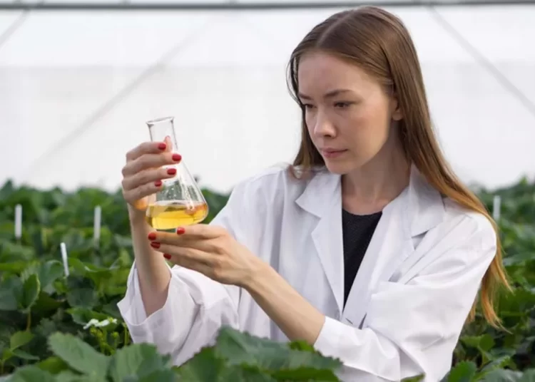 Καρκίνος Παχέος Εντέρου: Το αρωματικό φυτό που βάζει φρένο στην ανάπτυξη καρκινικών κυττάρων