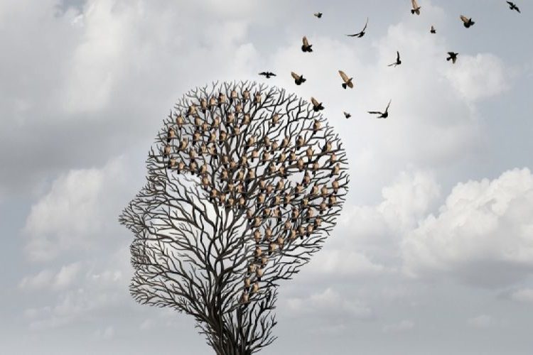 Το μυστικό που προλαμβάνει την άνοια και αναζωογονεί τον εγκέφαλο