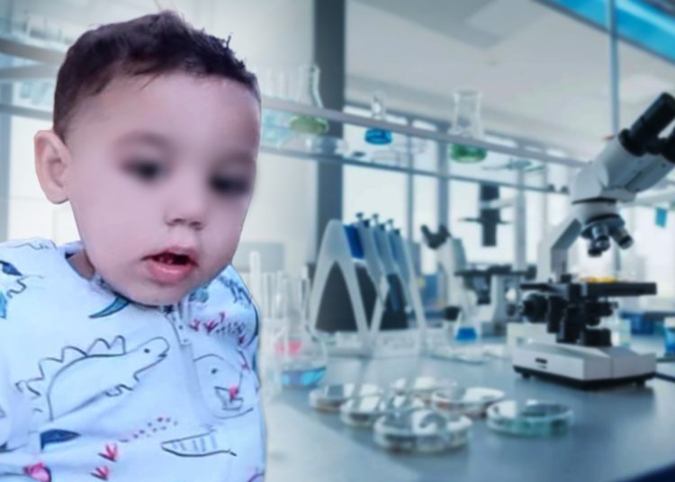 Αμαλιάδα: Στο φως η έκθεση που προκαλεί αντιδράσεις για τον θάνατο του Παναγιώτη