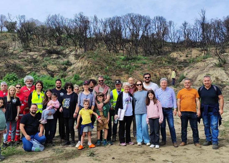 Χανάκια: 1.000 νέα δέντρα φύτεψαν εθελοντές στις καμένες εκτάσεις