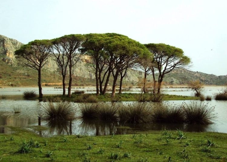 ΤΑΙΠΕΔ: Σε ιδιώτη και το Εθνικό Πάρκο Κοτυχίου-Στροφυλλιάς; Τι γίνεται με 35 στρ. γης