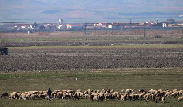 Μετατρέπουν σε… χωράφια εκατοντάδες χιλιάδες οικόπεδα – Σφοδρή αντίδραση των τοπικών κοινωνιών και της αγοράς