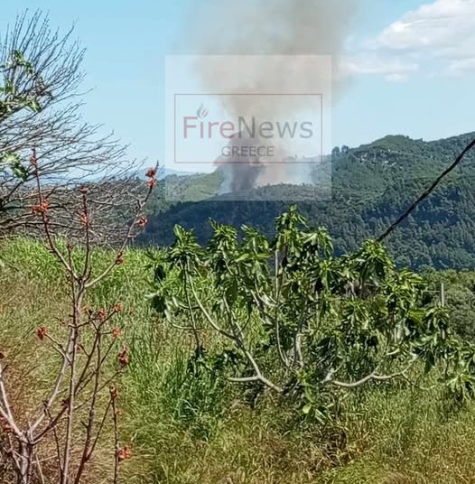 Κρέστενα: Φωτιά ξέσπασε σε δάσος στην περιοχή Καλυβάκια