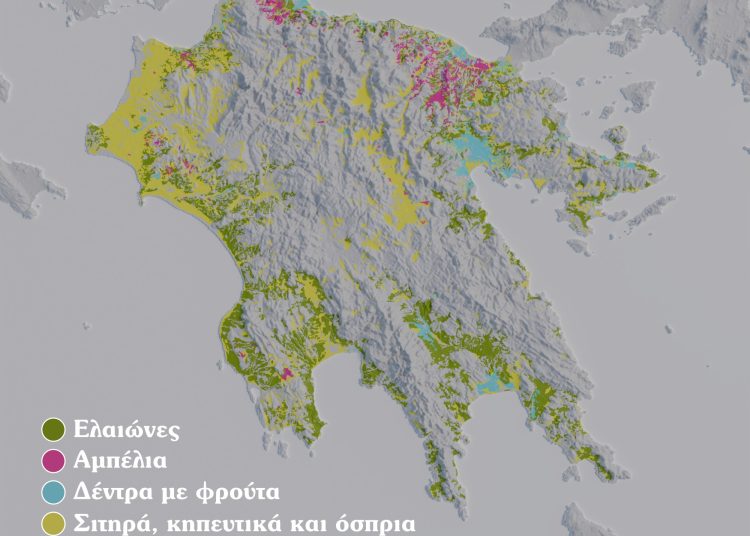 Τι παράγει η Πελοπόννησος; Στοιχεία ερευνών δείχνουν τα προϊόντα που καλλιεργούνται