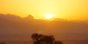 Αφρικανική σκόνη «πνίγει» την Ηλεία: Πώς να προστατευτείτε