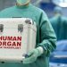 Δωρεά οργάνων: Αλλάζουν όλα-Τι σχεδιάζεται-Κορυφαία ανθρώπινη πράξη