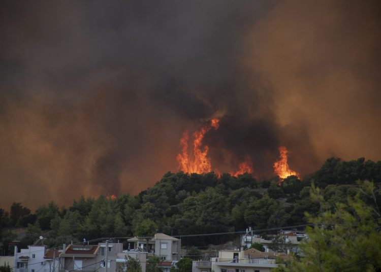Ηλεία: Καίγεται εδώ και 25 χρόνια σχεδόν κάθε χρόνο-Τι δείχνουν τα στοιχεία της Πυροσβεστικής