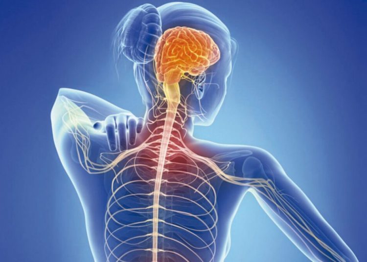 Παγκόσμια ημέρα για τη Σκλήρυνση Κατά Πλάκας: Εξελίξεις στη θεραπεία