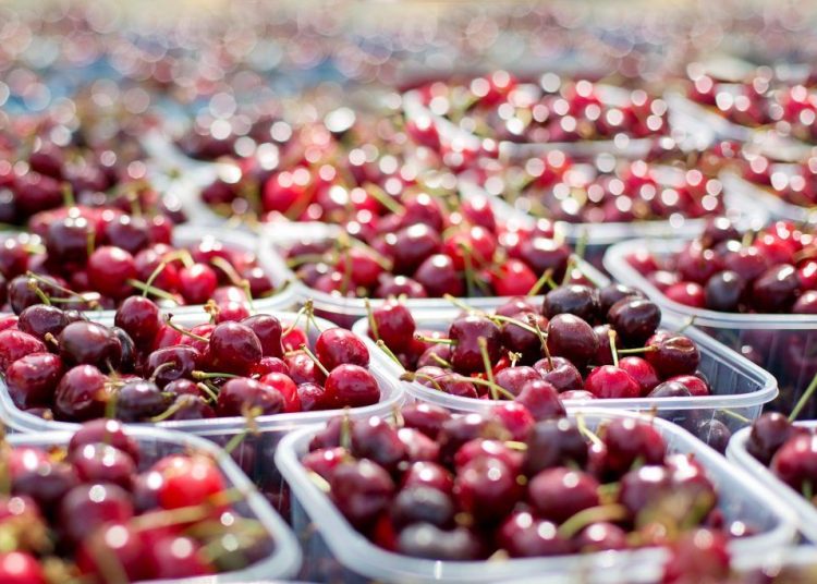 Ακρίβεια: Αυξήσεις έως 8% στα φρούτα-Ποιες οι τιμές του τώρα