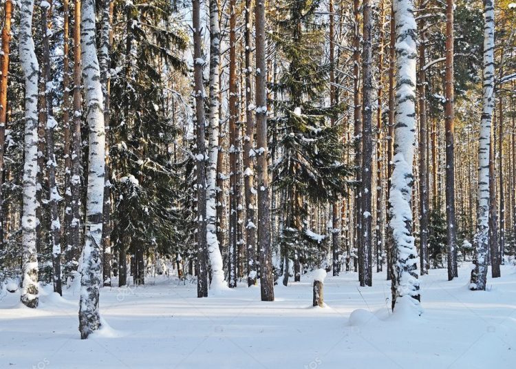 Η περιοχή της Πελοποννήσου που έχει πάγο ακόμα και τον Αύγουστο!
