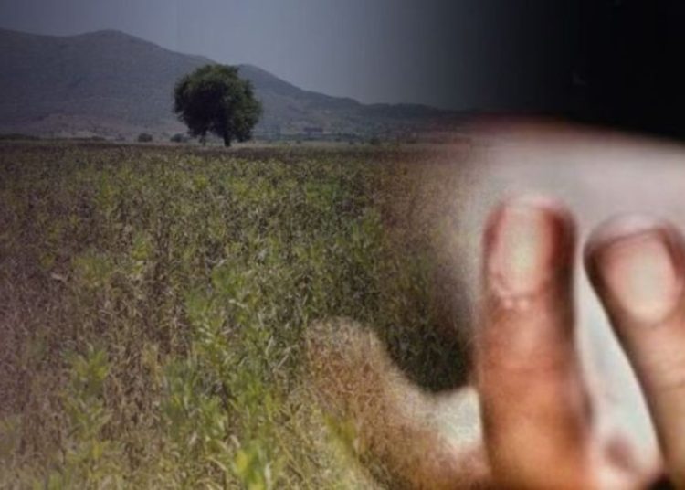 Στρέφι: Μυστήριο με άνδρα που βρέθηκε νεκρός κάτω από δέντρο