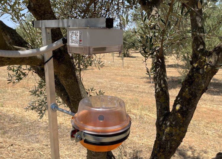 Πιλοτικό σύστημα αναγνώρισης δάκου στην Περιφέρεια Δυτικής Ελλάδας