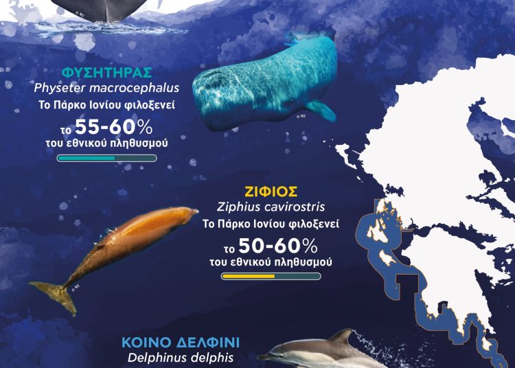 Θαλάσσιο Πάρκο Ιονίου: Ένας μαγικός τόπος-Ποια είδη ζώων ζουν εδώ-Ταξίδι στα μυστικά της φύσης