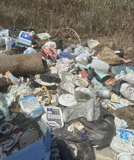 Αυτή η εικόνα δεν τιμά κανέναν μας.