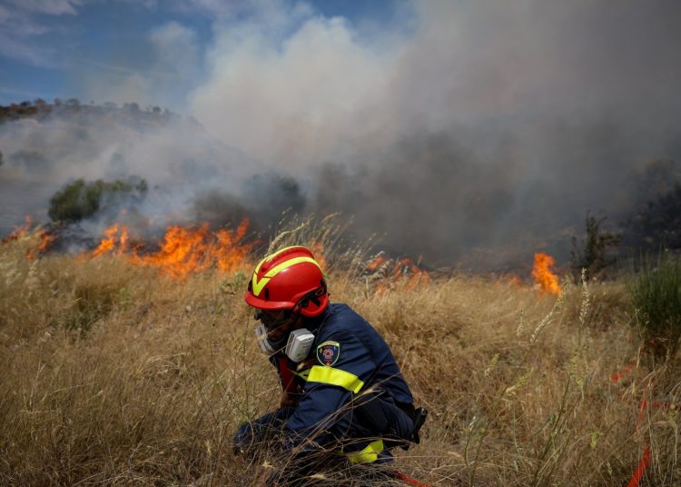 Φωτιά ξεκίνησε κοντά στο Γεράκι – Μήνυμα από το 112